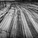 Illustration for article titled 41 More Amazing Photos From the Sony World Photography Awards
